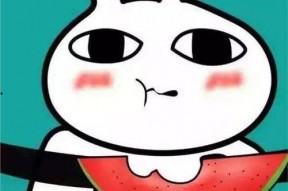 吃瓜表情包