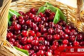 娱乐吃瓜酱樱桃,娱乐吃瓜酱的甜蜜瓜界风云录